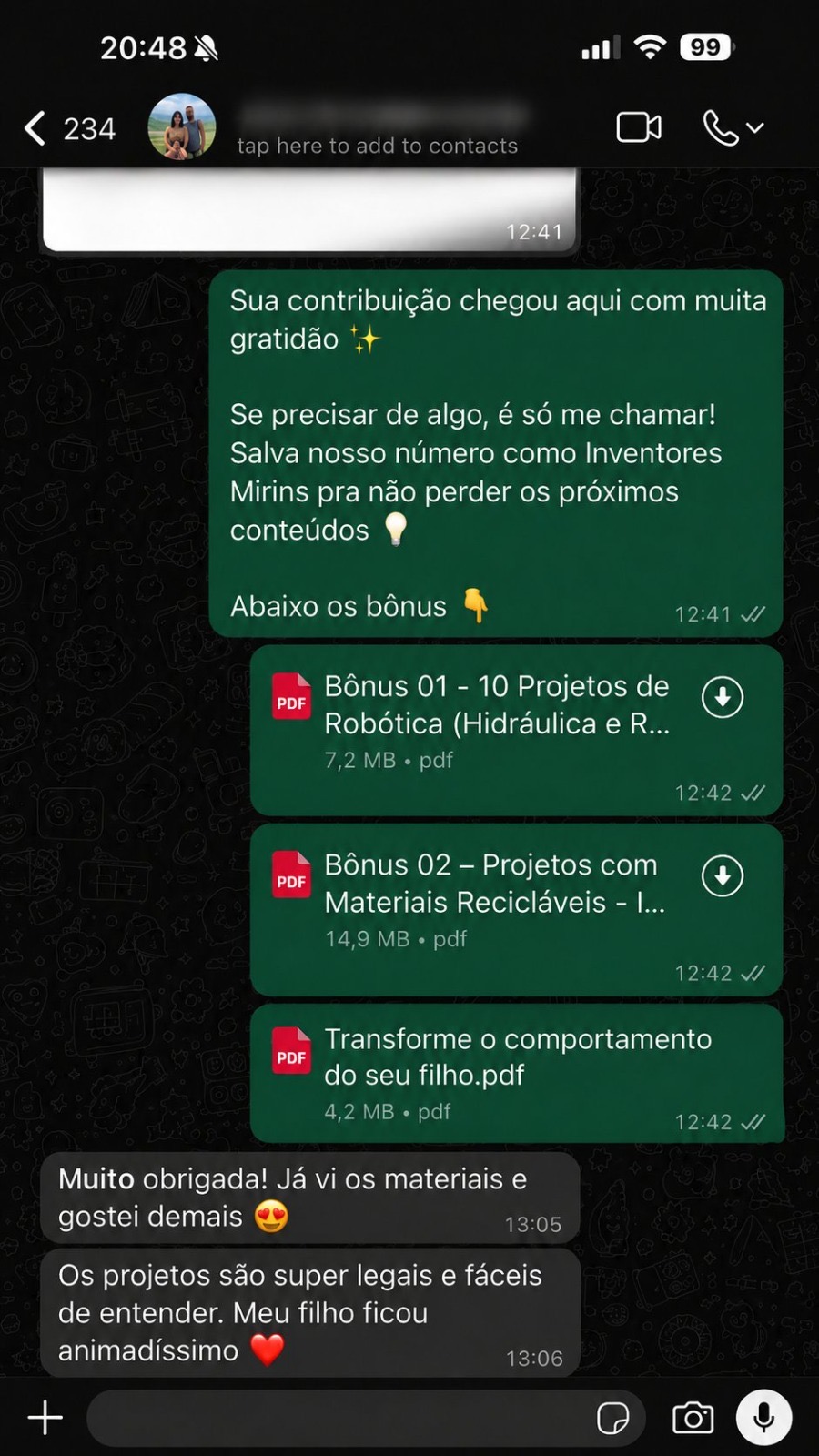 Captura de conversa com depoimento de um encarregado de educação