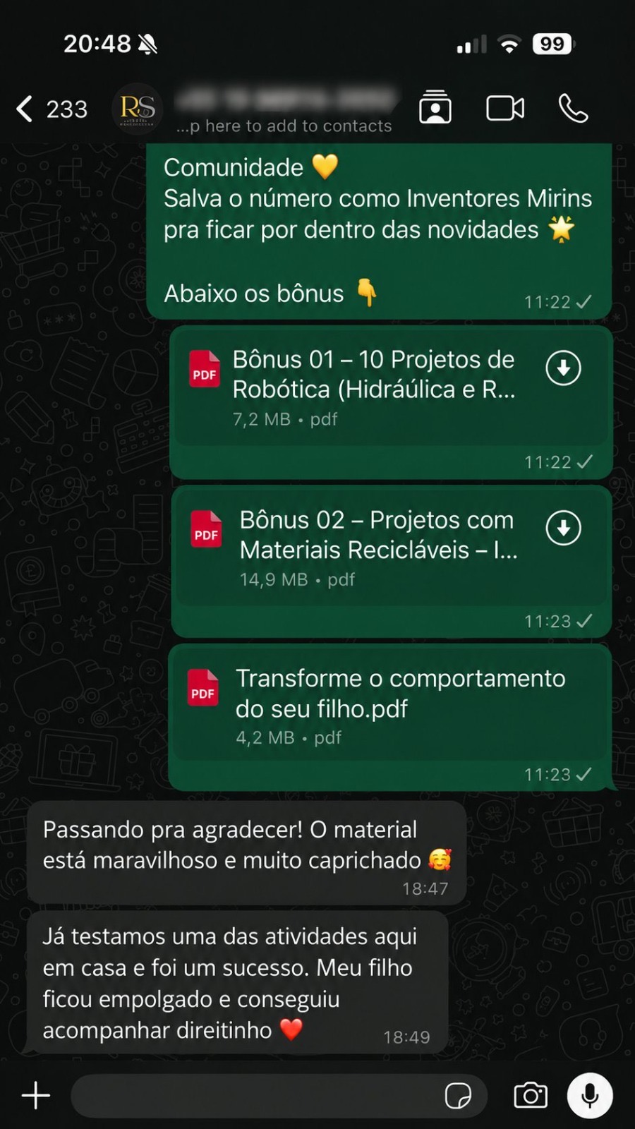 Captura de conversa com depoimento de um encarregado de educação